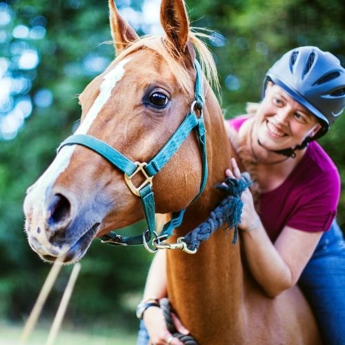 stage Mon Cheval et Moi