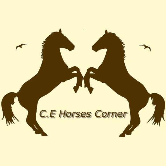 Horse's Corner à Bierges