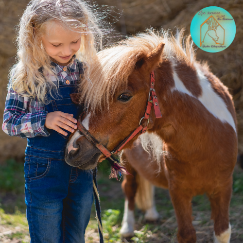 stage Petite Ferme & Approche Ethologique du Cheval