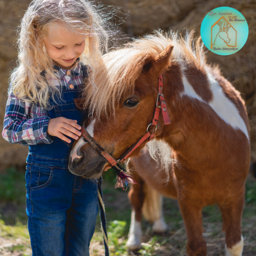 stage enfants Petite ferme & Cavalier en Herbe