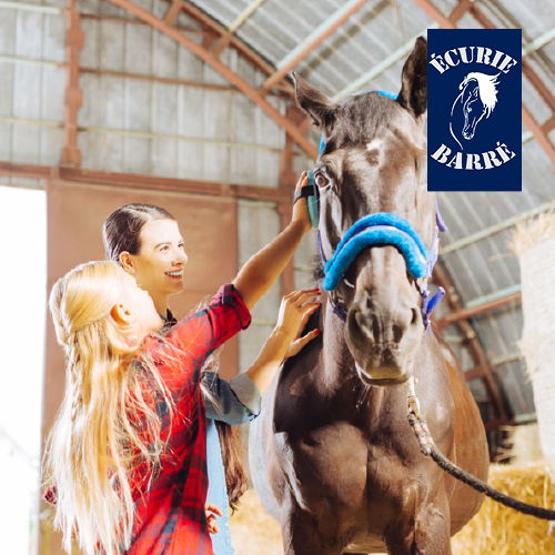 stage Equitation