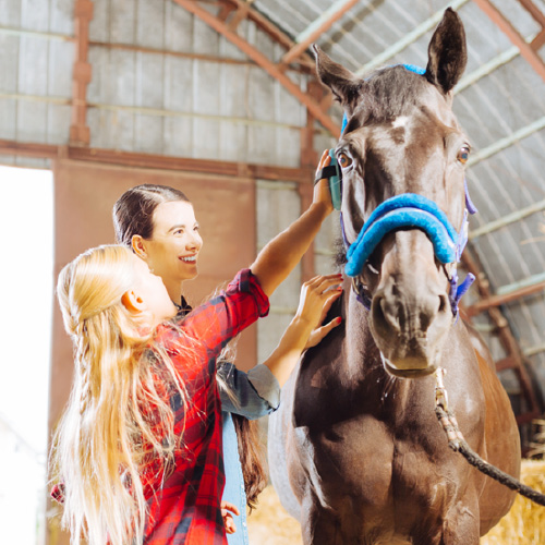 stage enfants Equitation