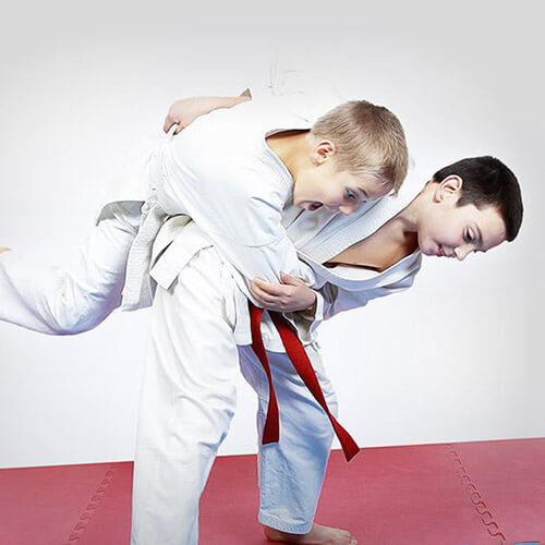 stage enfants Judo & Multisports