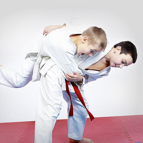 stage Judo & Multisports