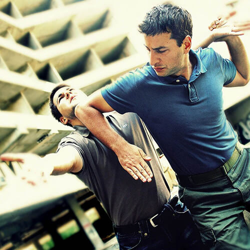 stage Krav Maga