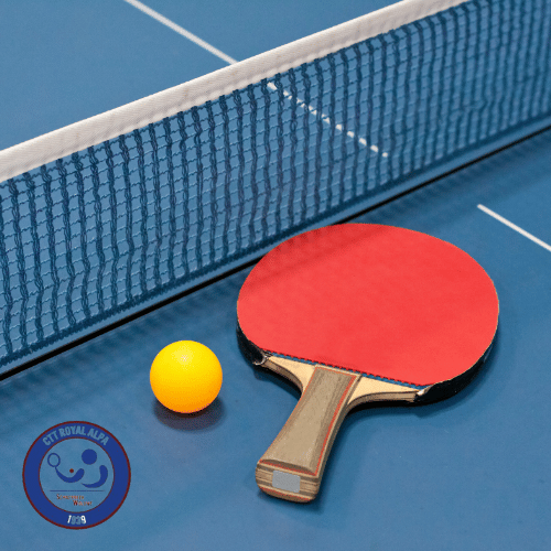 stage Tennis de Table