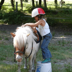 stage enfants Equi Sports