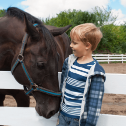 stage enfants Equitation