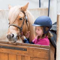 stage Baby Poney