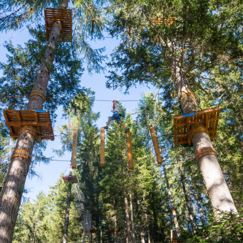 stage Fun Aventure, Accrobranche & E-pilote
